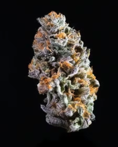 Gushers Strain by Connected: A Fruity Burst of Lemony Flavor