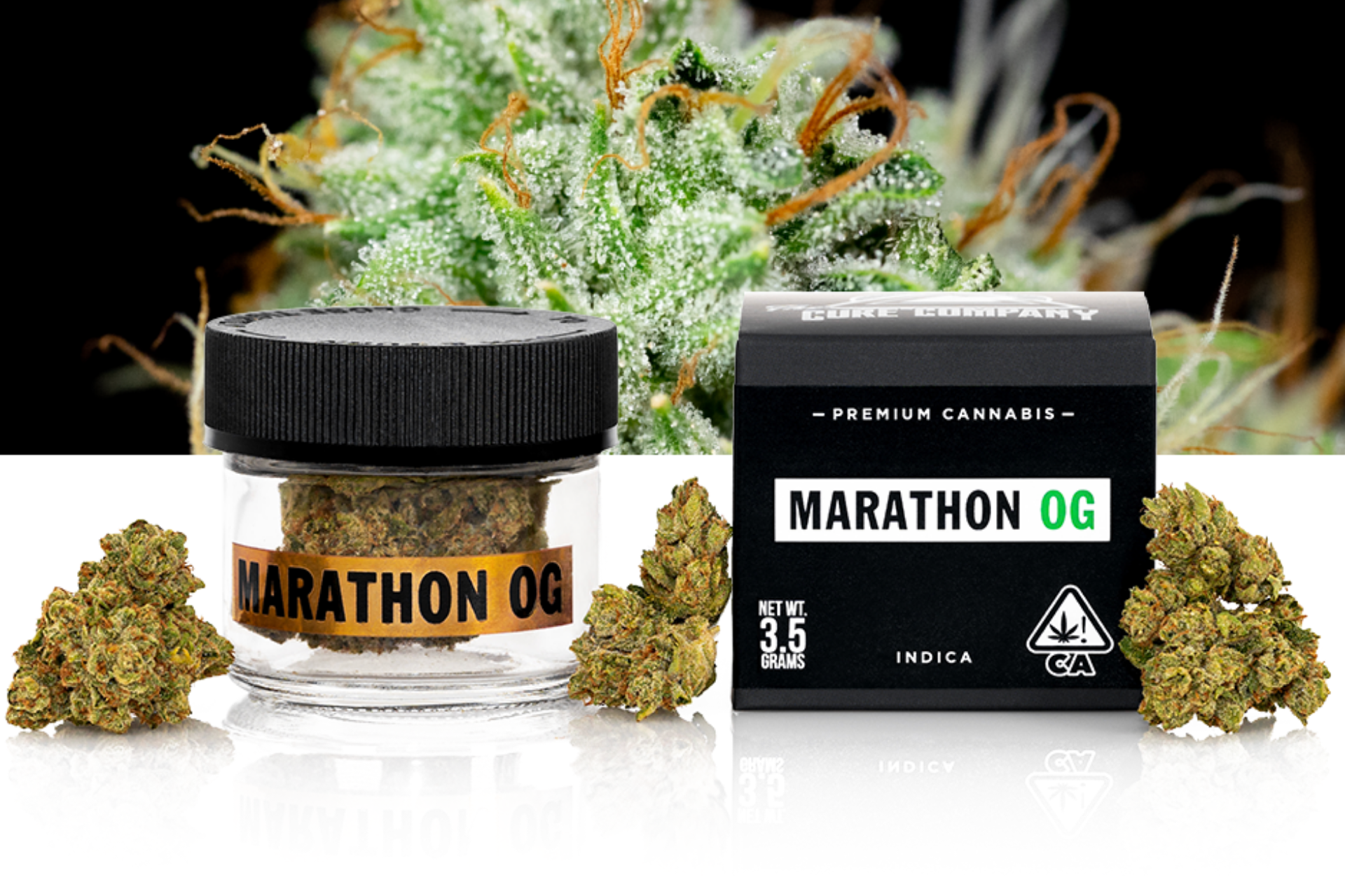 Marathon OG Strain: A Powerful OG Fit For Creatives And Daily Smokers